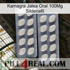 Kamagra Oral Jelly 100Mg Sildenafil 07